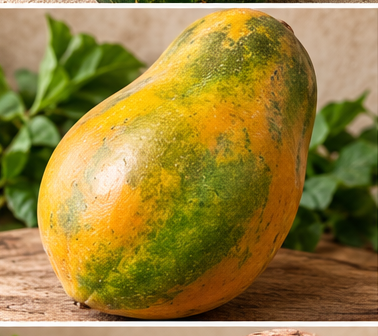 Papaya