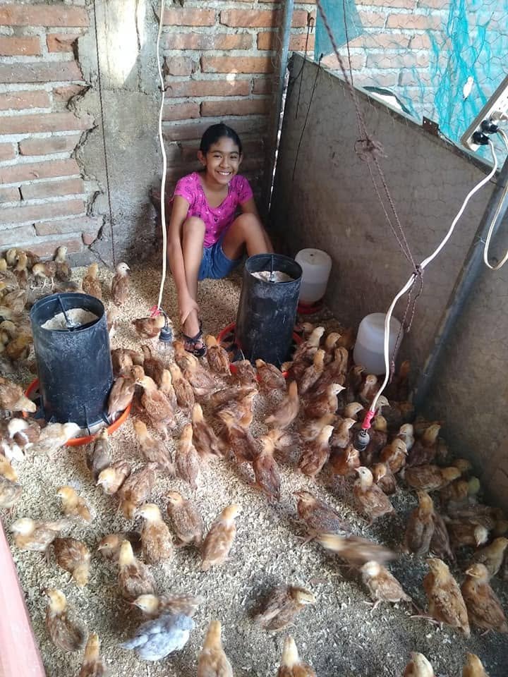 Persona junto a una cosecha de cebollas