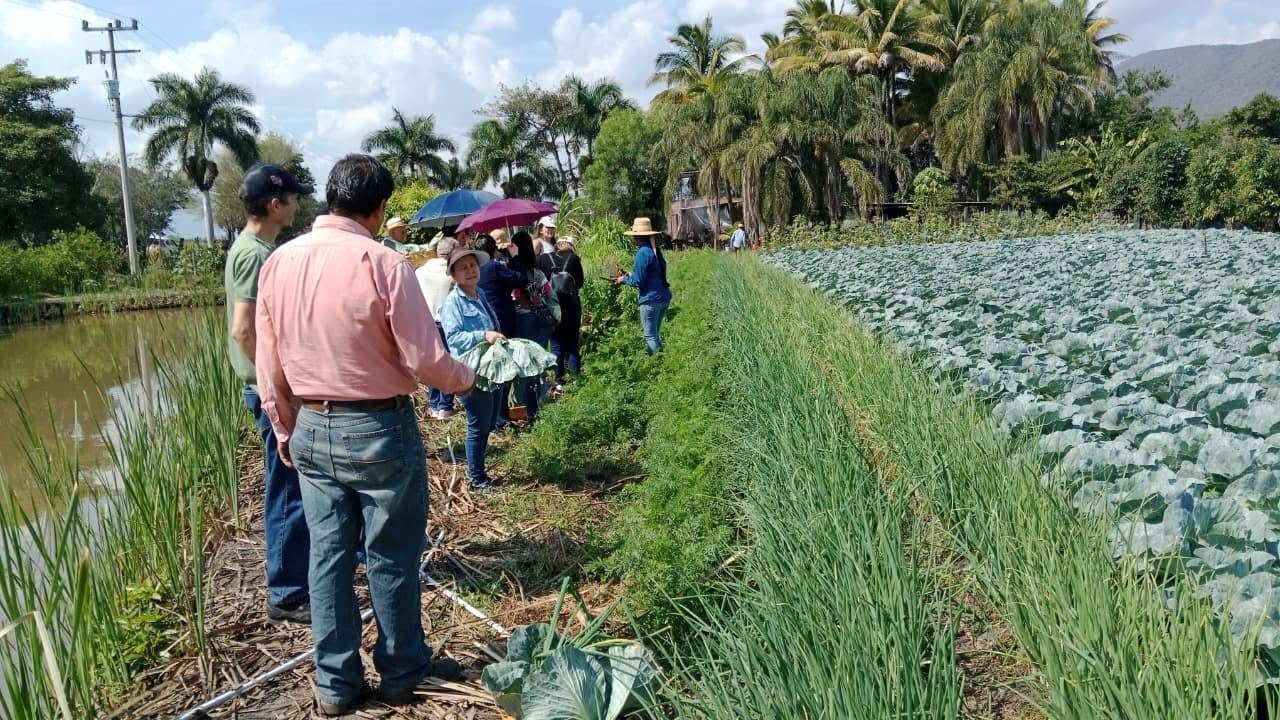 Personas recorriendo los surcos del huerto